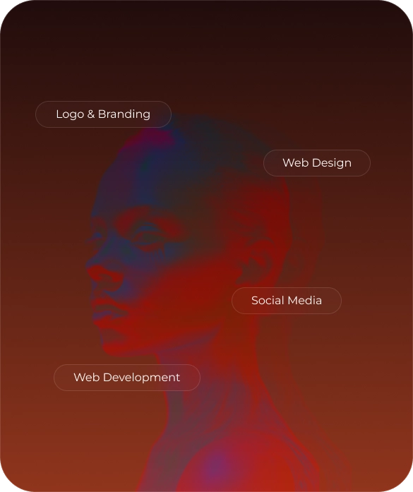 Sono branding and more